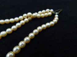 pearl lot 1 b